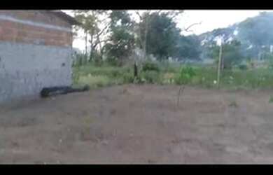 Imagem 4: Terreno. 50m² de Área