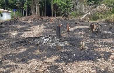 Imagem: O terreno está localizado em Planalto, Manaus à venda por