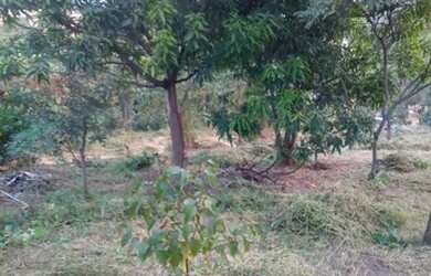 Imagem 2: Vendo lote no bairro Fernando Costa em São Joaquim de bicas