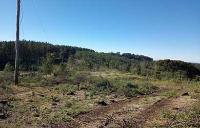 Imagem: A chácara possui 32.000m² de Área e está localizado em