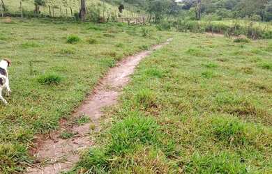 Imagem: A casa possui 2 Dormitórios, 1 Banheiro, 6.000m² de Área