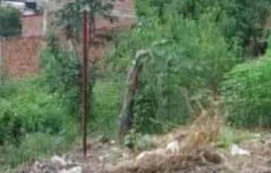 Imagem: O terreno está localizado em Torrinha, Cabo de Santo Agostinho