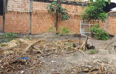 Imagem 3: Vendo Lote no Novo Aleixo