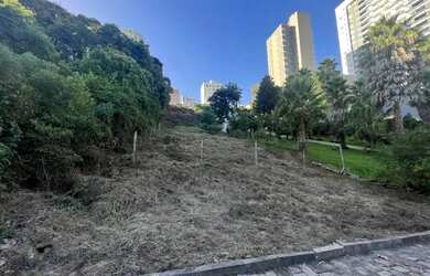 Imagem 4: Terreno Panazzolo Caxias do Sul