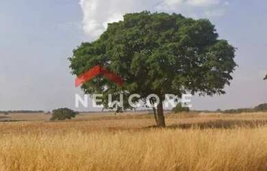 Imagem: A fazenda possui 1000m² de Área e está localizado em Cruzeiro