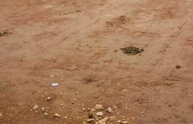 Imagem 6: Terreno Terreno / lote com venda por R$65.000