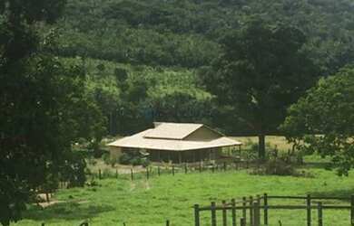 Imagem 9: Fazenda na Agrovila das Palmeiras 630 Hectares