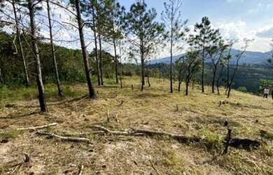 Imagem 2: Saiba como investir