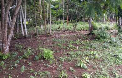 Imagem 3: Vendo terreno em Belterra