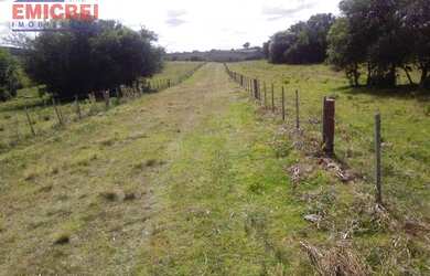 Imagem 3: EMICREI VENDE FAZENDA DE 410 HECTARES EM PINHEIRO MACHADO ,PARA SOJA