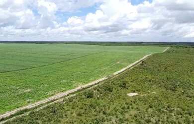 Imagem 4: Fazendas no Maranhão. 