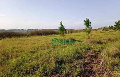 Imagem 8: Sítio à venda, 70000 m² por R$ 659.000 - Lagoa Country Club - Cidreira/RS