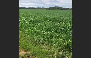 Imagem: A fazenda está localizado em Área Rural de Unaí, Unaí à