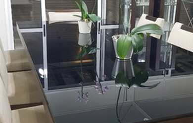 Imagem: A casa em condomínio possui 4 Dormitórios, 4 Banheiros, 3