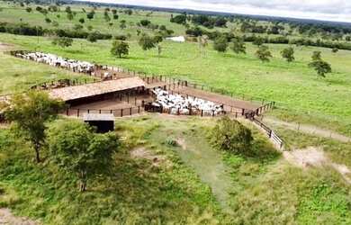 Imagem: A fazenda possui 7.937.600m² de Área, Churrasqueira e está