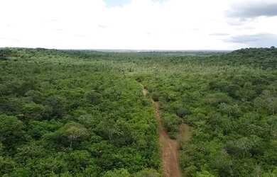 Imagem 2: Fazendas no Maranhão. 