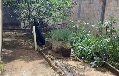 Imagem 4: Vendo Casa. 4 Vagas na garageme3 Dormitórios