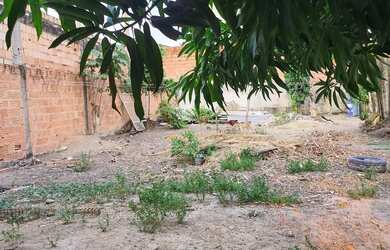 Imagem 4: Vendo Lote no Novo Aleixo