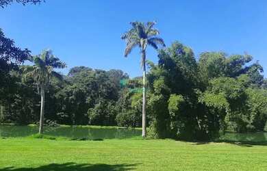 Imagem 5: Lote no Setor Pedro Ludovico