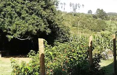 Imagem 8: Lindo Sitio Desterro de Entre Rios 18 hectares 180 mil metros muito verde...