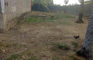 Imagem: A casa possui 2 Dormitórios, 2 Banheiros e está localizado