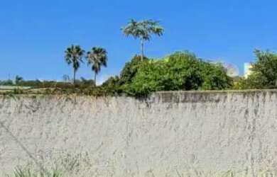 Imagem 9: TERRENO - VILA FRANCESCHINI - SP