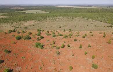 Imagem 9: Vendo 288, hectares de terras próprias para plantio de cana em Paracatu...