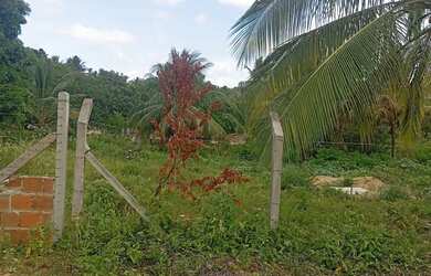 Imagem: A chácara possui 259m² de Área e está localizado em São