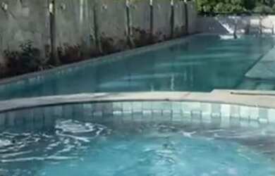 Imagem: O apartamento possui 3 Dormitórios, 5 Banheiros, 2 Vagas na