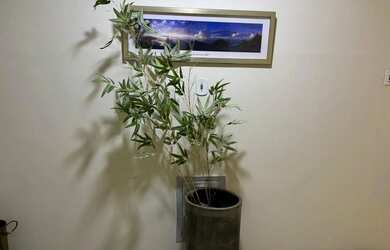 Imagem 15: Lindo apartamento temporadas Centro / Cinelandia