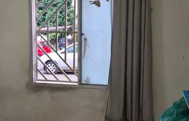 Imagem 4: Apartamento Mário covas. 2 quartos