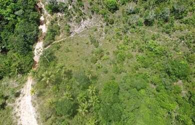 Imagem 5: Fazenda Mista em Conde -BA