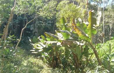Imagem 5: Super lote pe na agua represa e acesso cachoeira 80 mil reais
