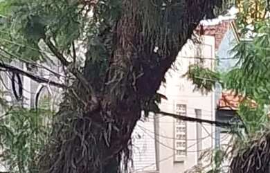 Imagem: A casa possui 4 Dormitórios, 3 Banheiros, 2 Vagas na garagem