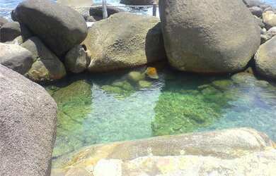 Imagem 6: Costeira espetacular. Piscina, Churrasqueira, Ar-condicionadoe800m² de...