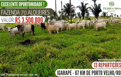 Imagem: A fazenda está localizado em Igarapé, Porto Velho à venda
