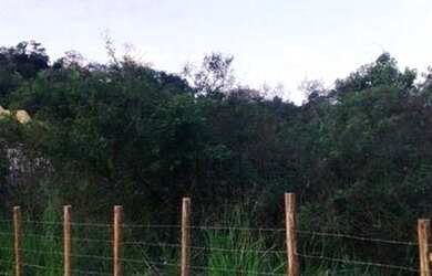 Imagem 3: Lote/Terreno para venda com 591 metros quadrados em Maria Paula - São Gonçalo - RJ