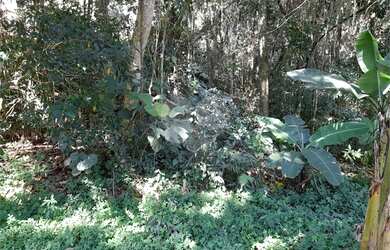 Imagem: O terreno possui 1.000m² de Área e está localizado em Roseira