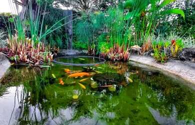 Imagem 16: Casa de condomínio térrea para venda possui 420 m² em Atibaia SP