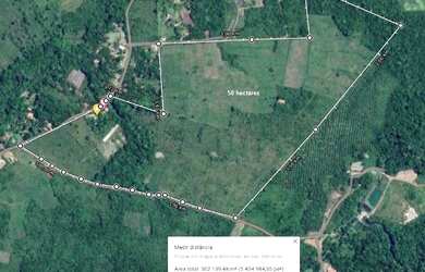 Imagem 11: Vendo Sítio 50 hectares na Alça Viária KM 32. Terreno 500.000m2