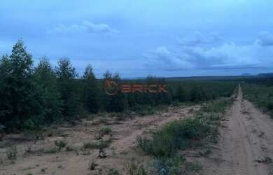 Imagem: SÃO FÉLIX DO TOCANTINS - COMERCIAL - SÃO FÉLIX DO TOCANTINS