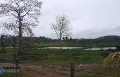 Imagem: Sítio 78 alqueires Região Colina Verde