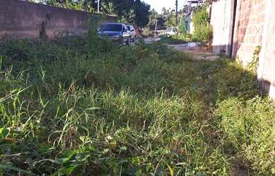 Imagem 6: Vendo ou troco. 