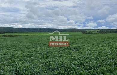 Imagem 6: Fazenda em Montes Claros de Goiás. gt 219 Alq. 1.060 há