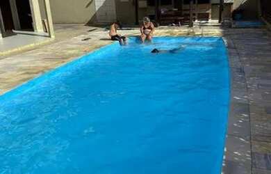 Imagem: O apartamento possui 2 Dormitórios, 1 Vaga na garagem e está