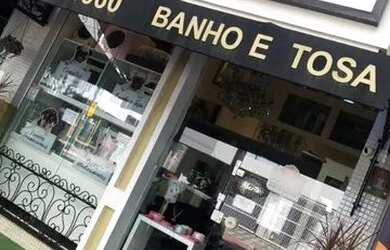 Imagem 2: Pet shop Boutique em Balneário Camboriú