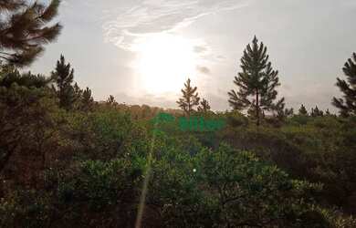 Imagem 7: Sítio à venda, 70000 m² por R$ 659.000 - Lagoa Country Club - Cidreira/RS