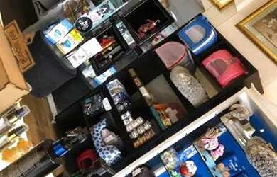 Imagem 4: Pet shop Boutique em Balneário Camboriú