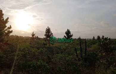 Imagem 10: Sítio à venda, 70000 m² por R$ 659.000 - Lagoa Country Club - Cidreira/RS