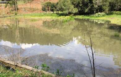 Imagem 3: Vendo chácara de 3,6 hectares na localidade da boca da serra